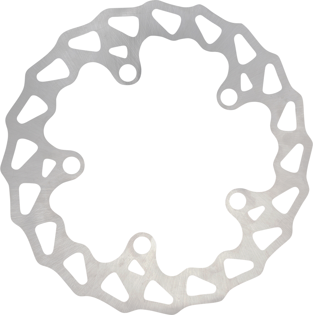 ARLEN NESS Rotator Brake Rotor - Spoke Mount FLT 300-047