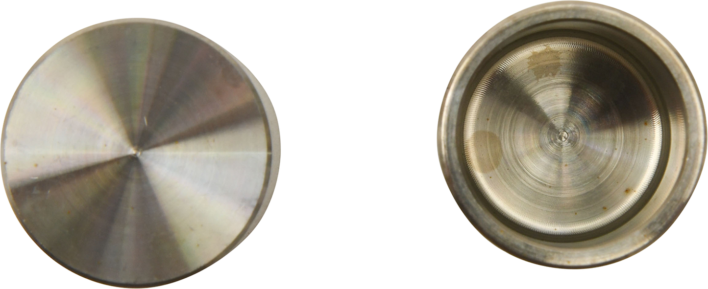 ALL BALLS Brake Caliper Piston 18-9019