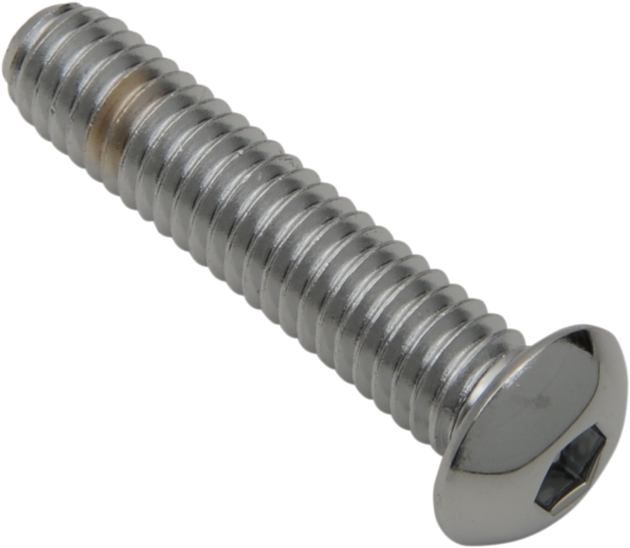 DRAG SPECIALTIES Bolts - Button-Head - 5/16"-18 x 2" MPB828