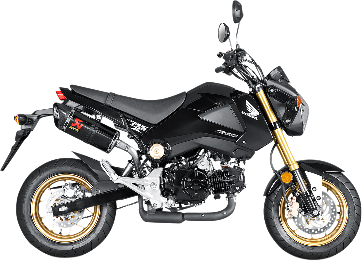 AKRAPOVIC Slip-On Line Muffler - Carbon Fiber S-H125SO1-HAPC