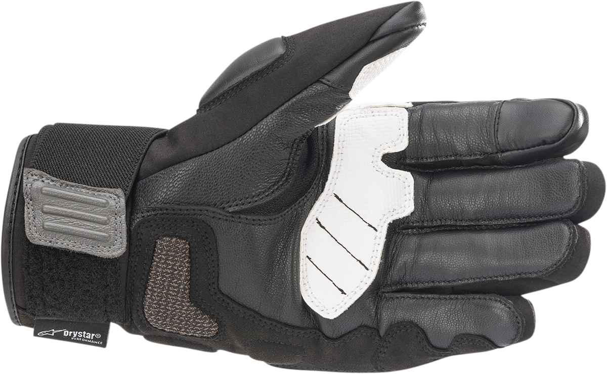 ALPINESTARS Corozal V2 Gloves - Black/Gray - Large 3525821-102-L