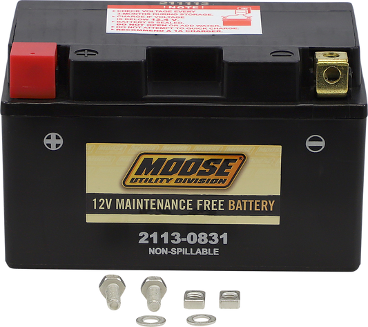 MOOSE UTILITY AGM Battery - CTZ10S CTZ10S