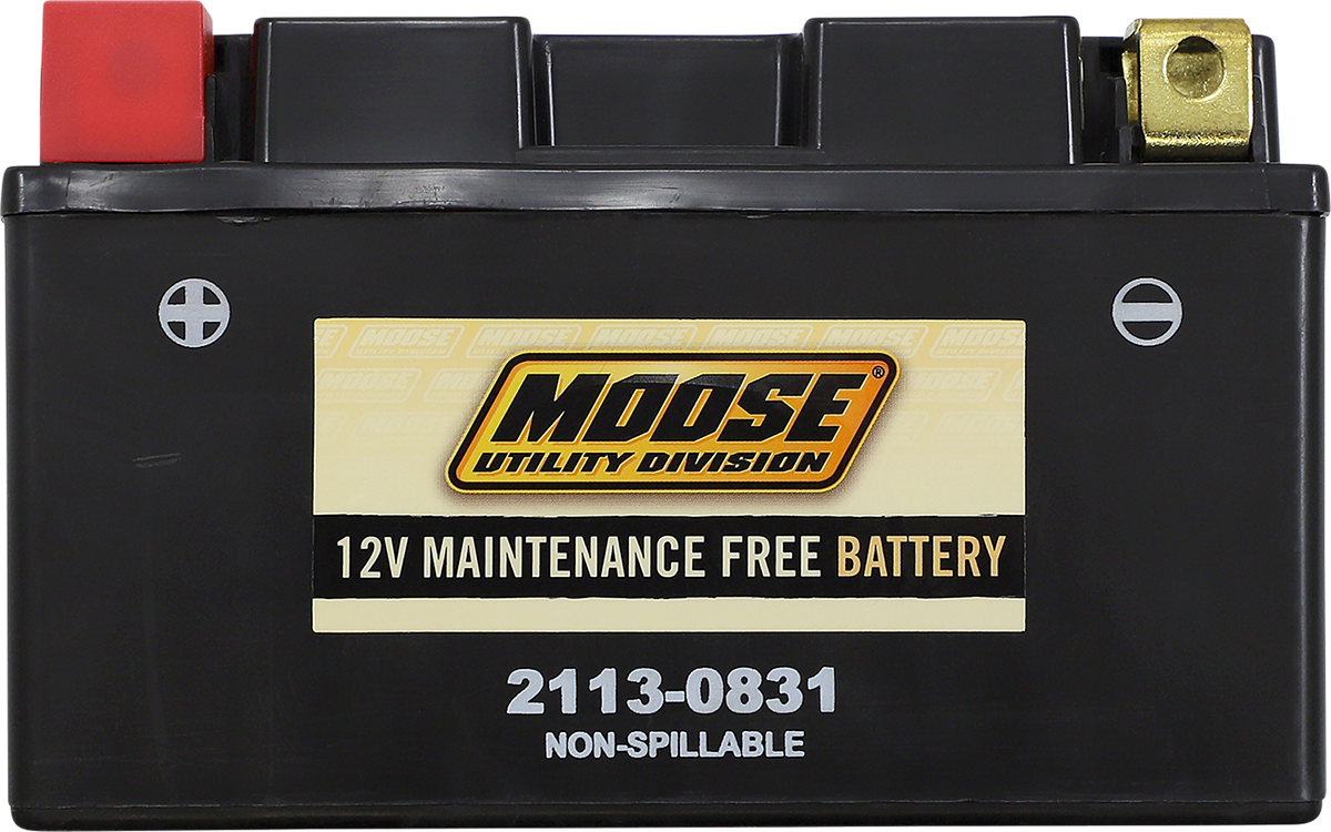 MOOSE UTILITY AGM Battery - CTZ10S CTZ10S