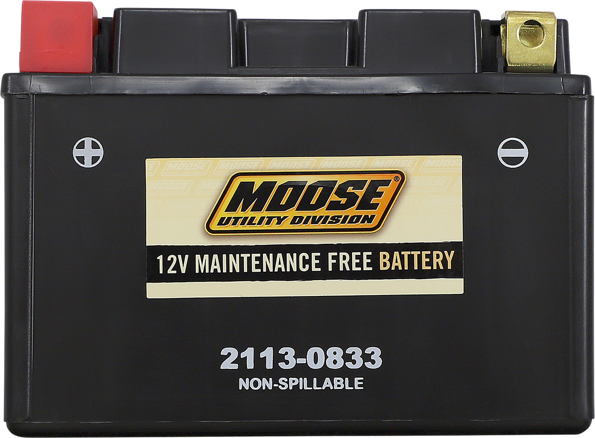 MOOSE UTILITY AGM Battery - CTZ14S CTZ14S