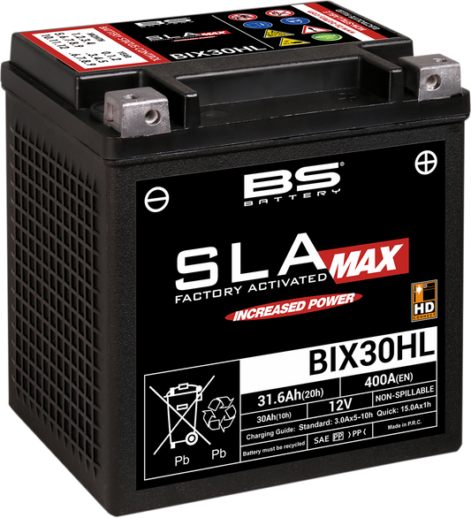 BS BATTERY Battery - BIX30HL (YIX) 300884