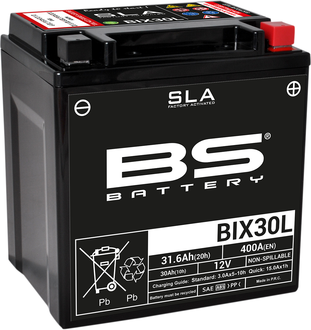 BS BATTERY Battery - BIX30L (YIX) 300631