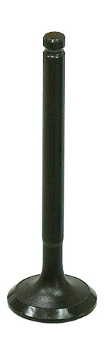 Exhaust Valve